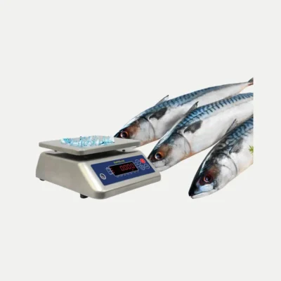 cân thủy sản super-1 đang dùng cân hải sản