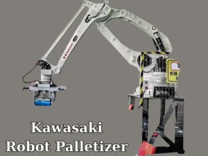 Robot xếp bao thành phẩm vào pallet