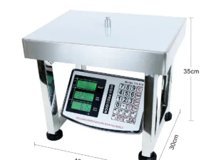 Cân ghế đẩu 100kg thép không gỉ