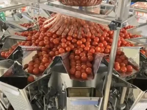 Cân đóng bao 10 đầu cân 4