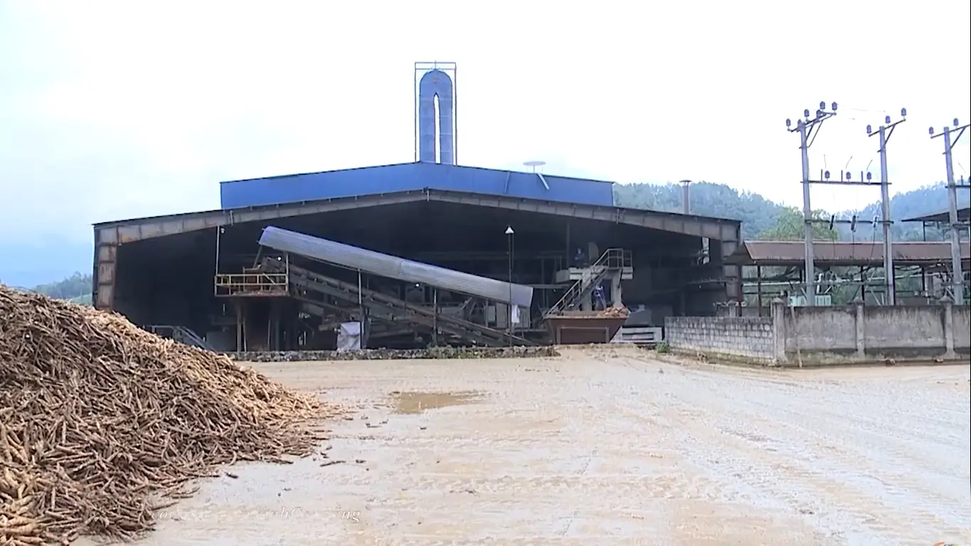 Chế biến tinh bột sắn