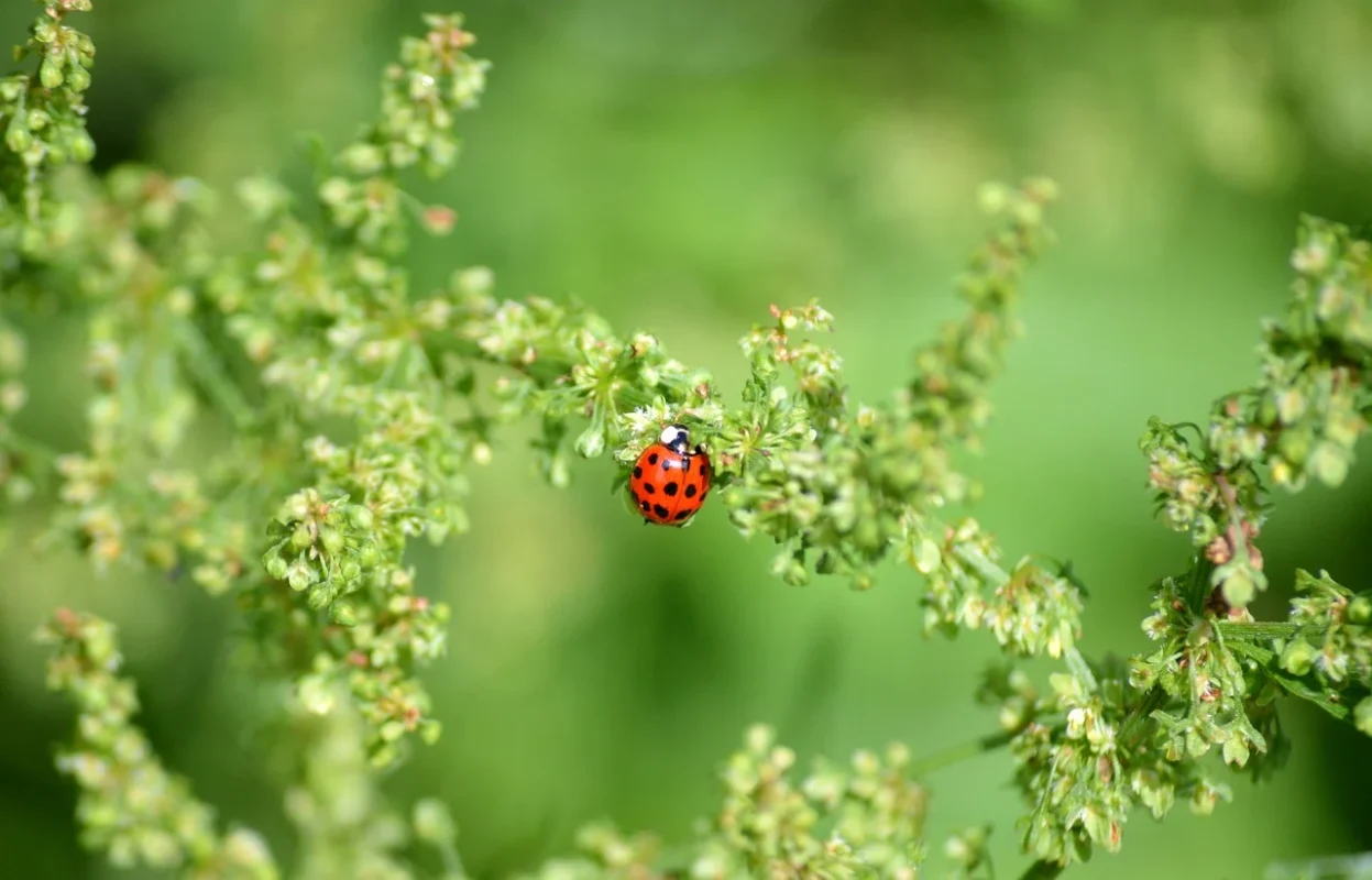 GP theo ngành nghề