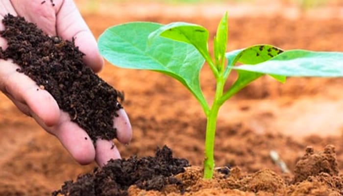 GP. theo ngành nghề